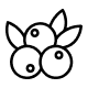 Jagody