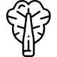 Rabarbar