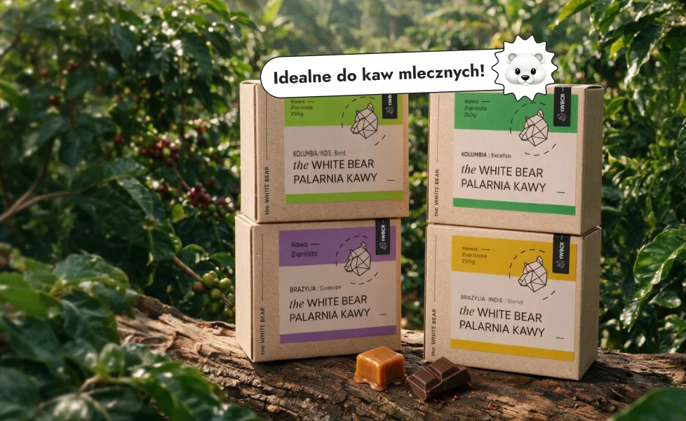 Baner kategorii